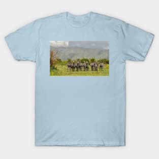 The zebras-amazing picture T-Shirt